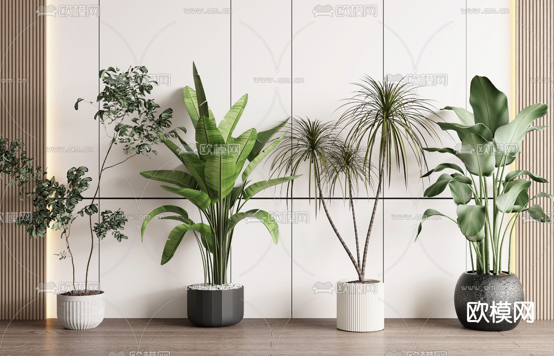 绿植盆栽 盆景3d模型