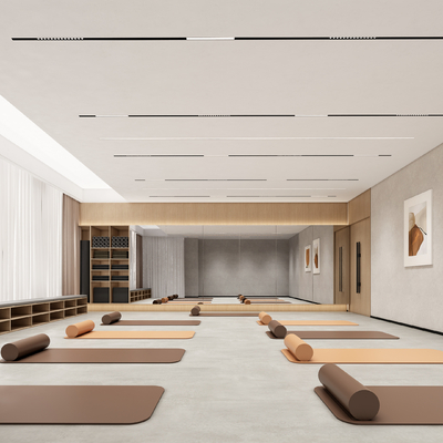  现代瑜伽室 健身房su模型 