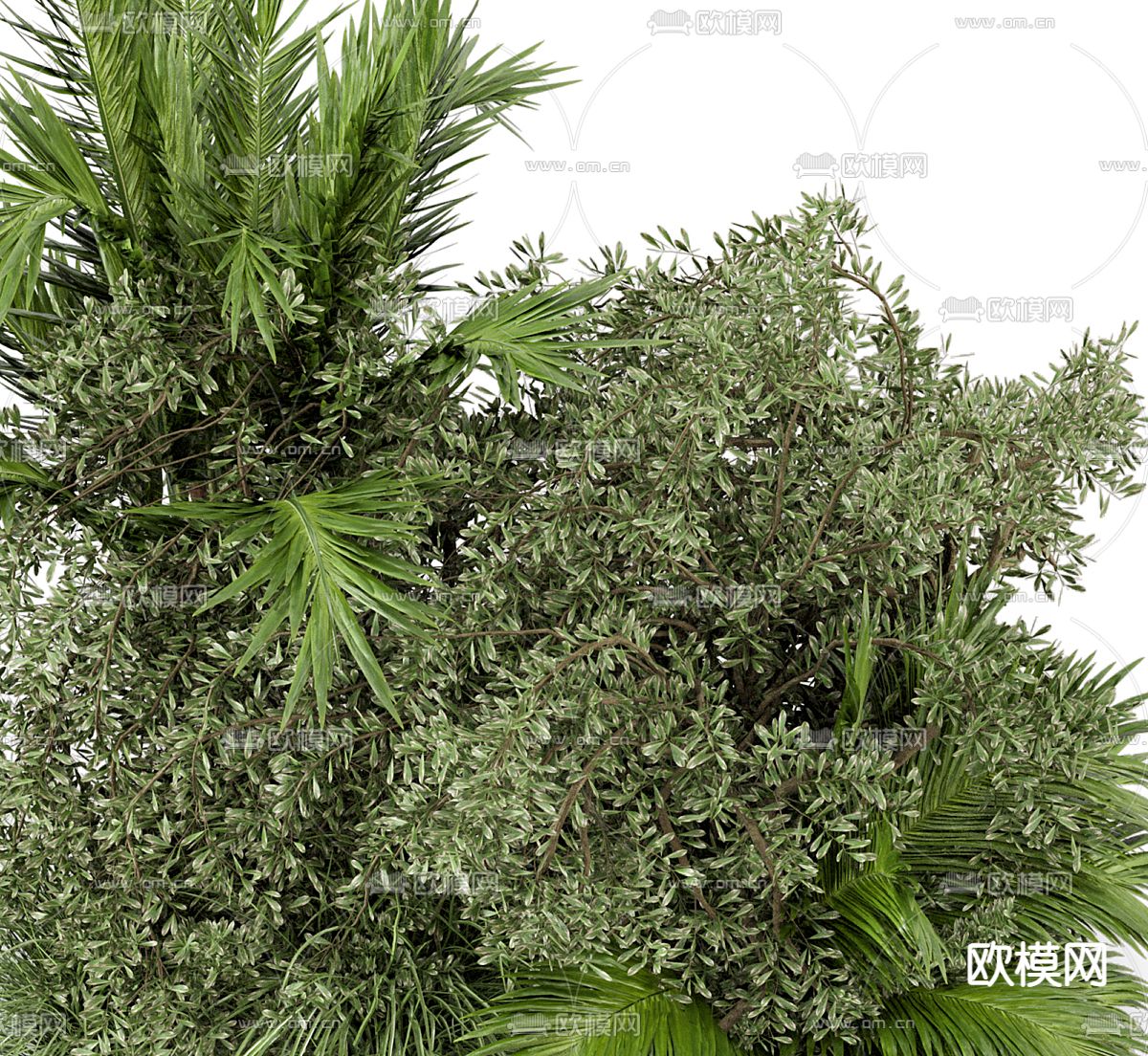 绿植灌木 植物堆3d模型下载（渲染图3）