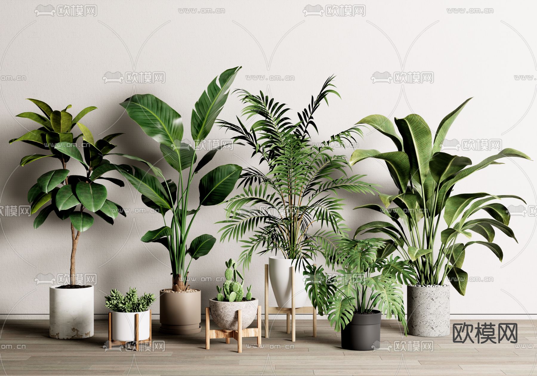 绿植盆栽 盆景3d模型