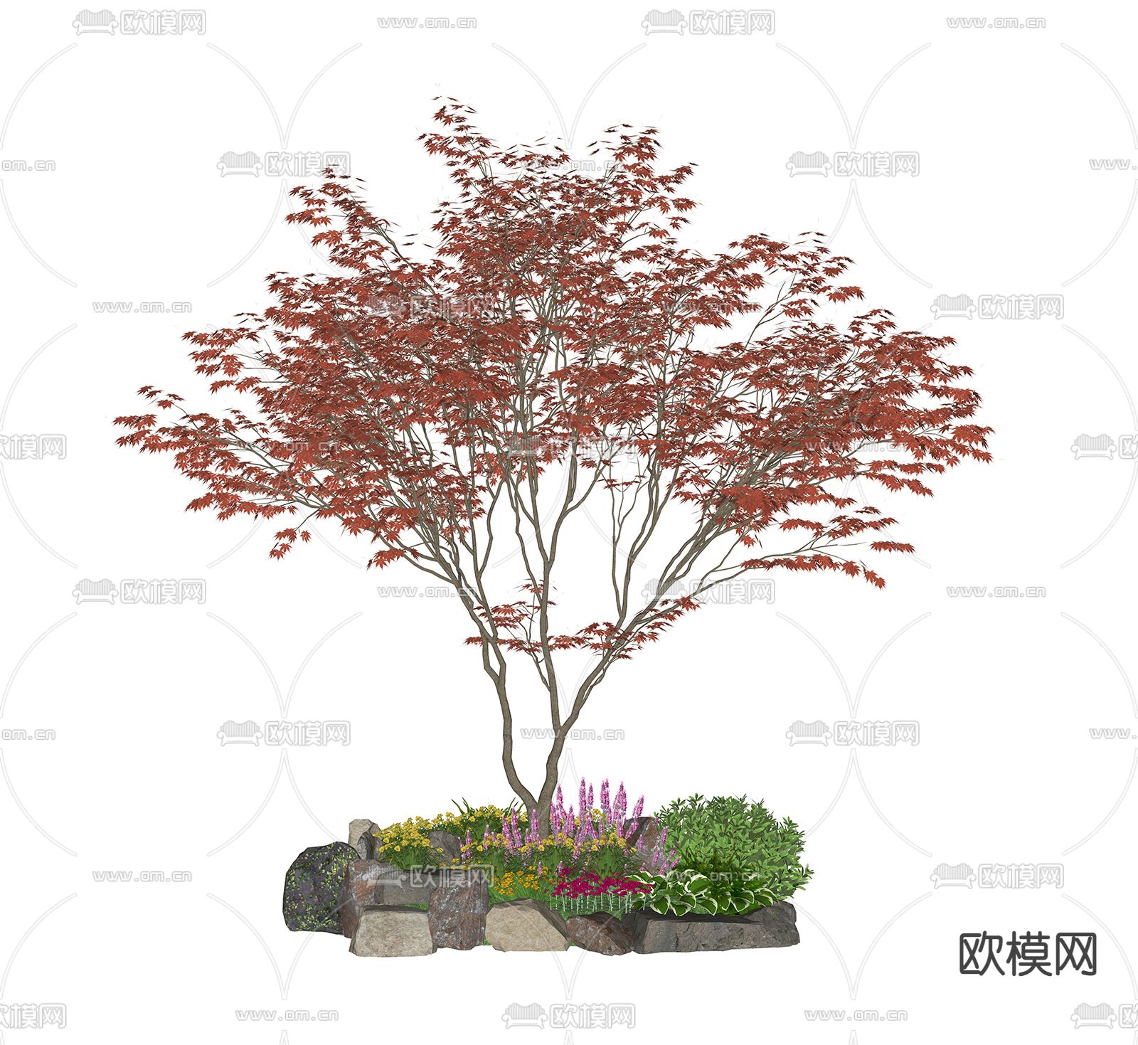 枫树绿植 花池树池su模型下载（渲染图2）