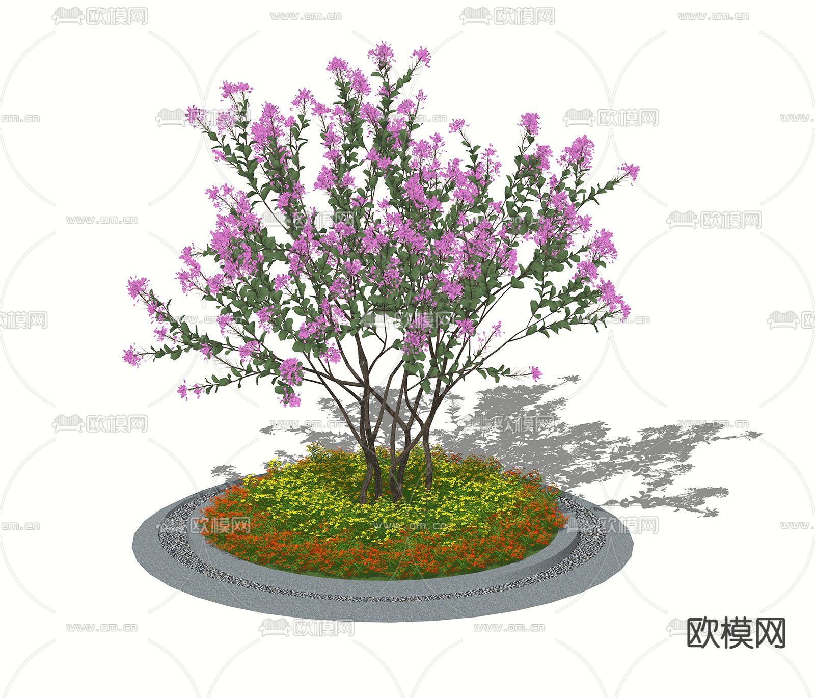 小叶紫薇 花池树池su模型下载（渲染图1）