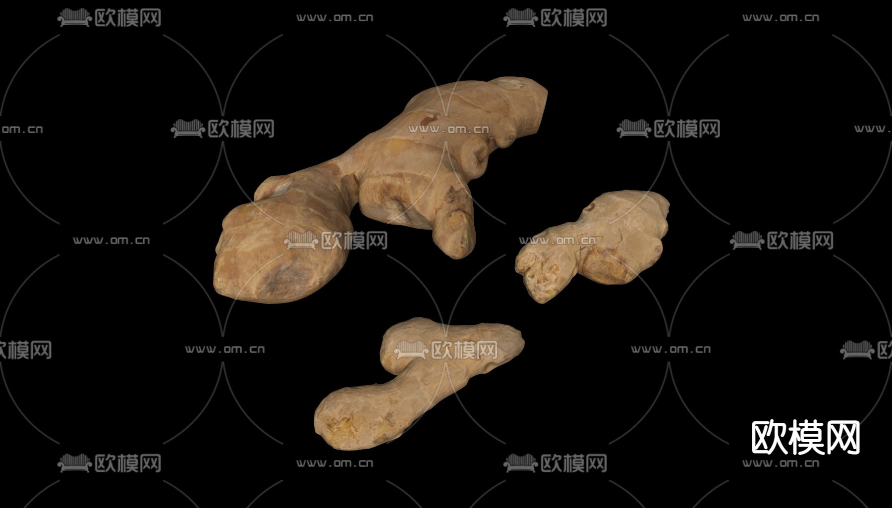 生姜 姜su模型下载（渲染图2）