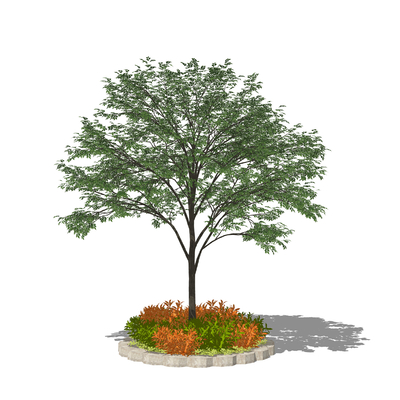  乔木绿植 花池树池su模型 