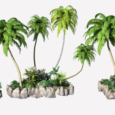  热带椰子树 棕榈树su模型 