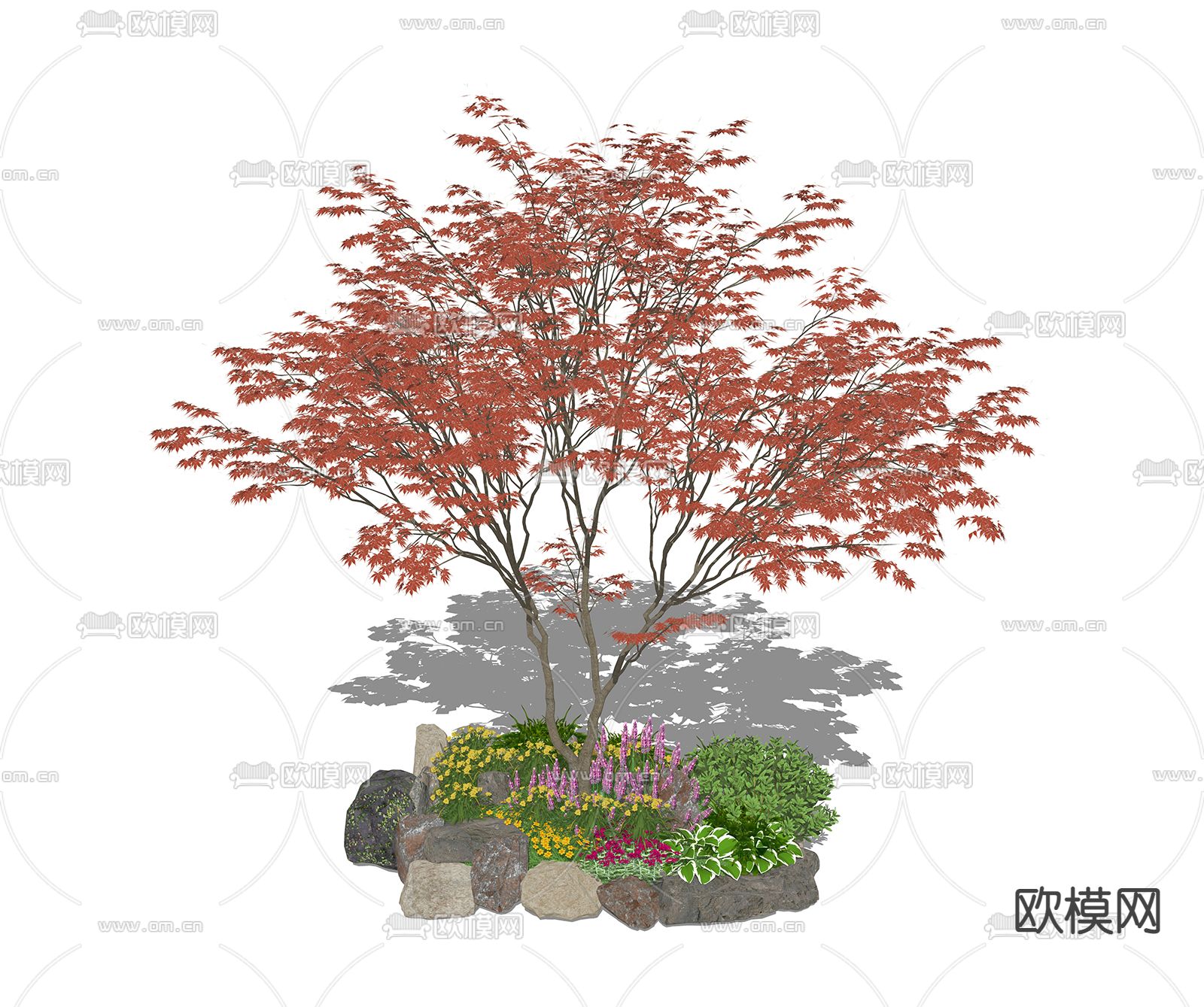 枫树绿植 花池树池su模型下载（渲染图1）