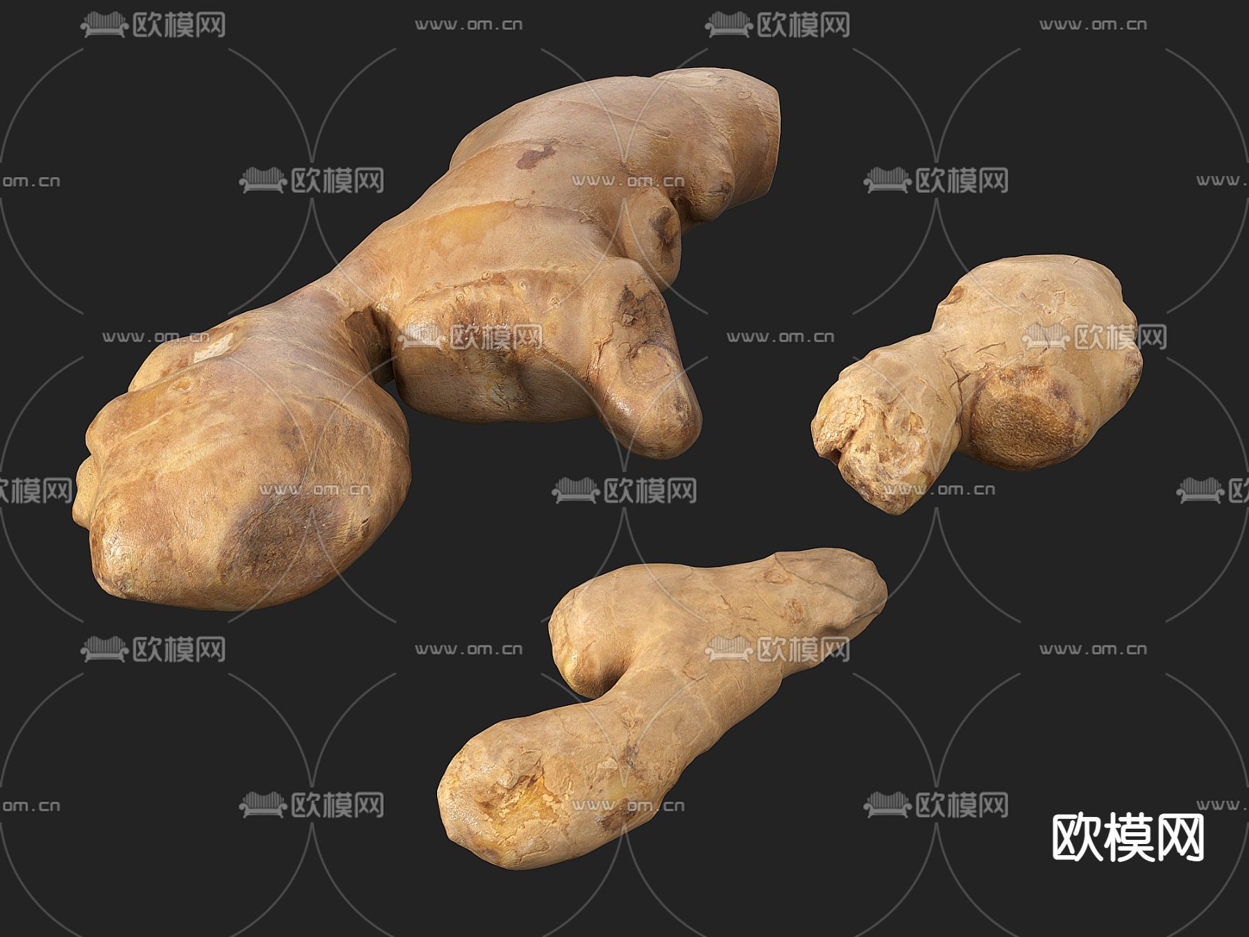 生姜 姜su模型下载（渲染图1）