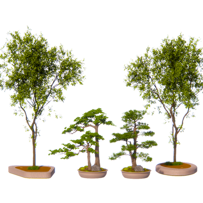  景观树 大树 乔木su模型 