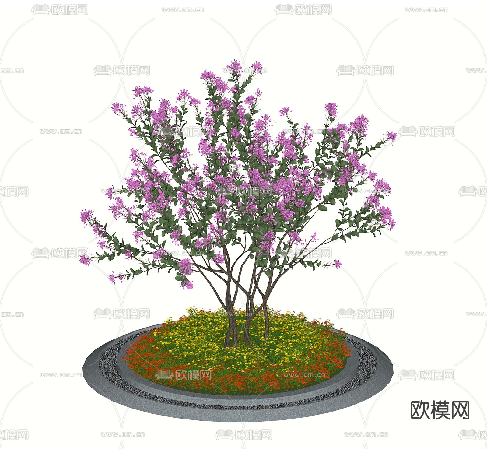 小叶紫薇 花池树池su模型下载（渲染图2）