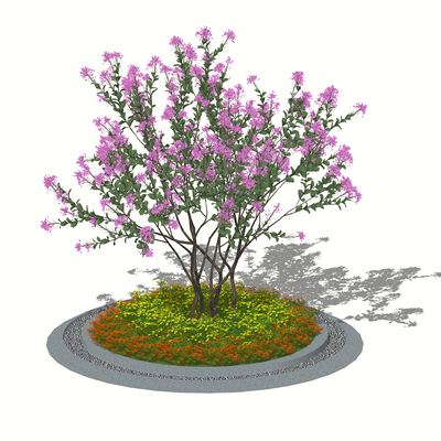  小叶紫薇 花池树池su模型 