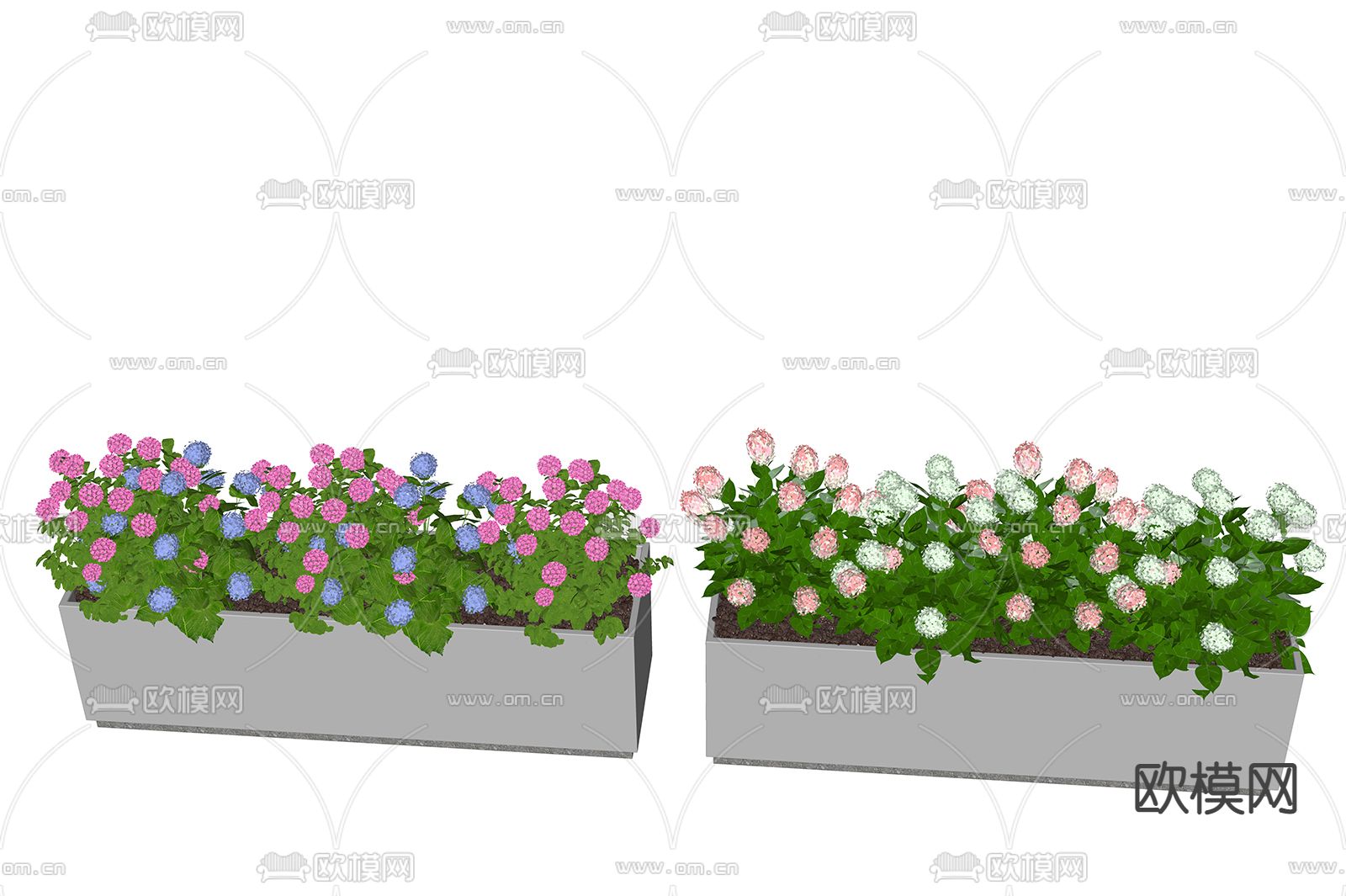 现代绣球花花箱 盆栽su模型