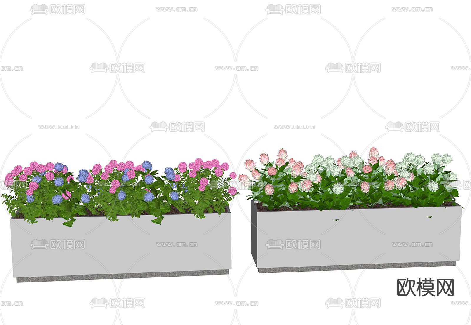 现代绣球花花箱 盆栽su模型