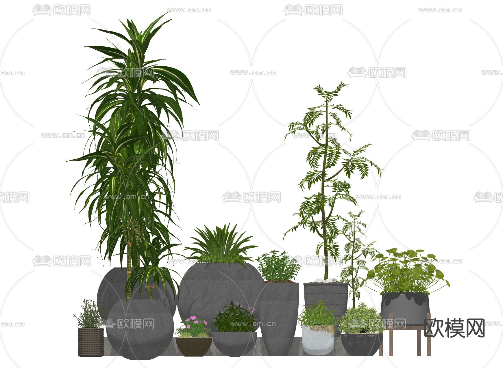 现代植物花坛 花钵su模型