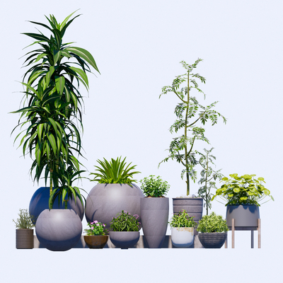 现代植物花坛 花钵su模型