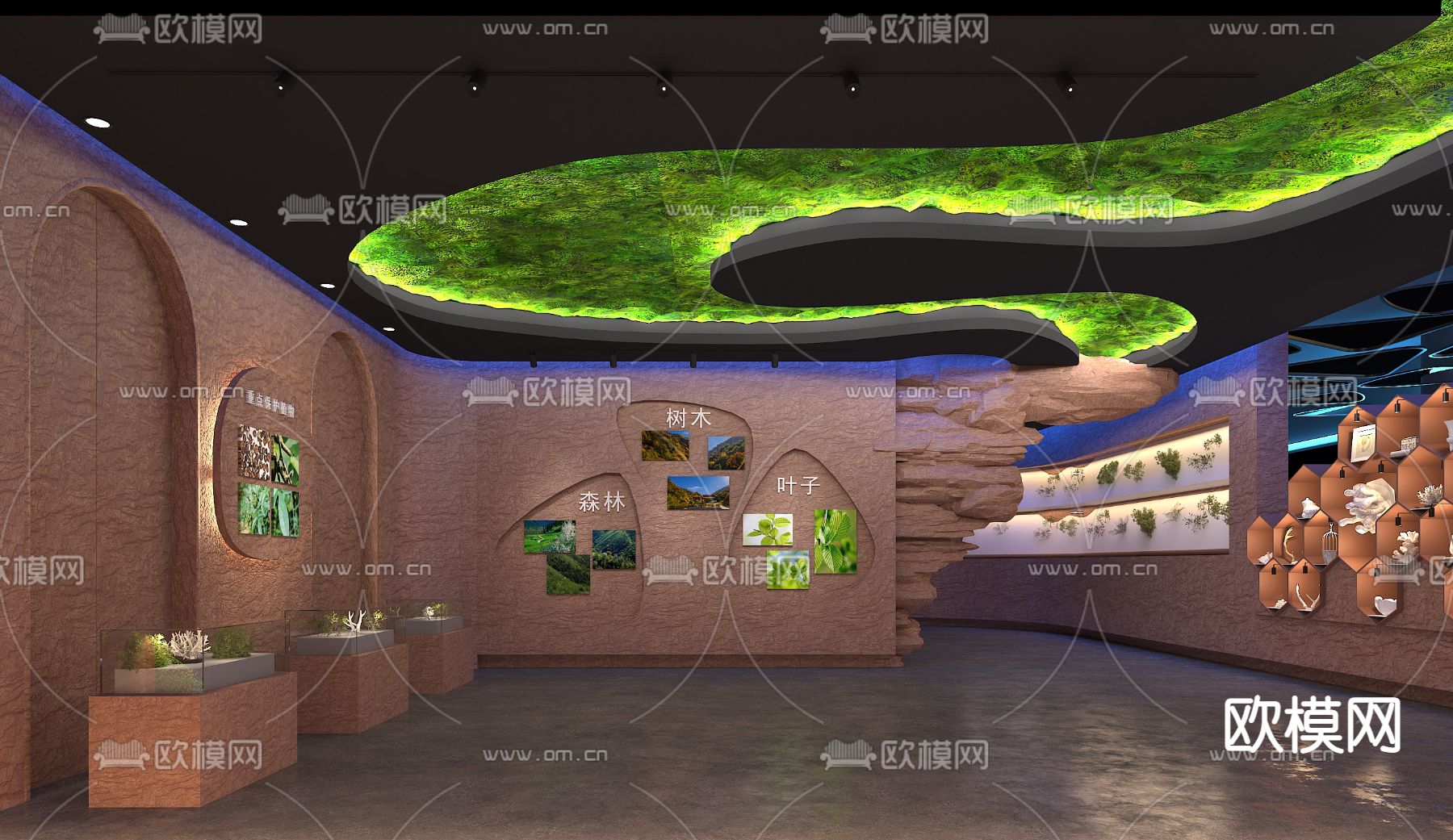 现代植物标本展厅展廊su模型