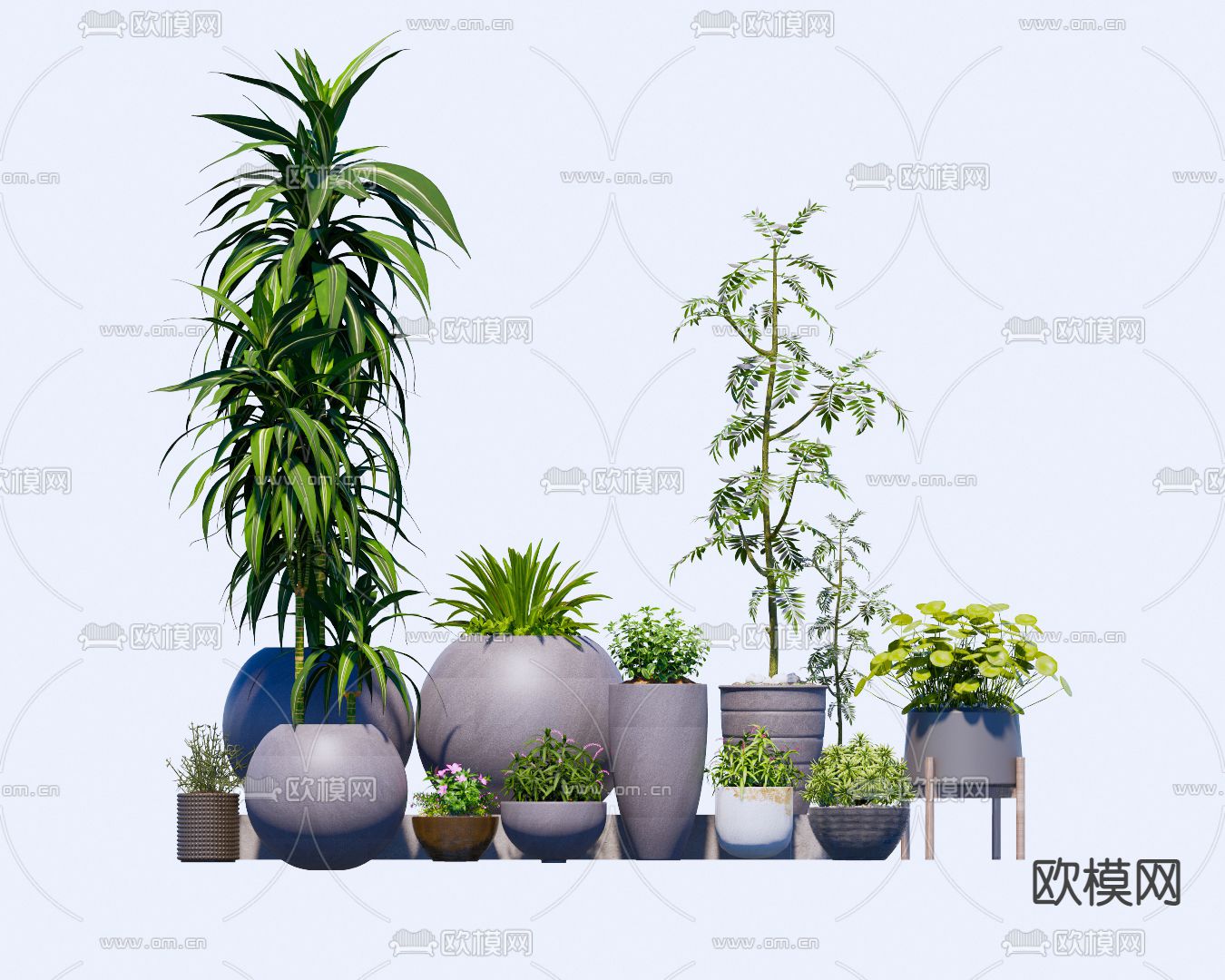 现代植物花坛 花钵su模型