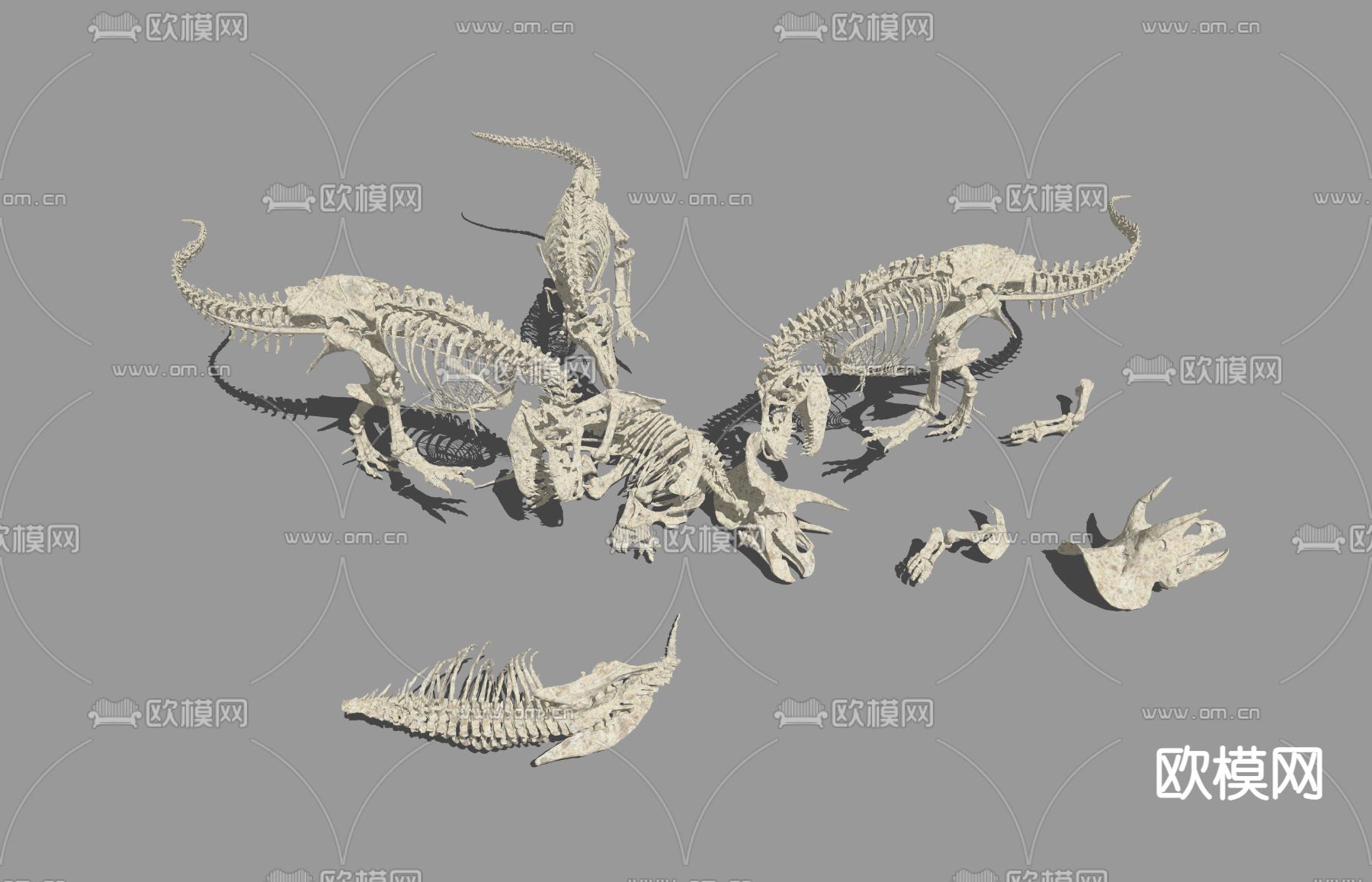 现代恐龙骨架骨头化石标本su模型下载（渲染图2）