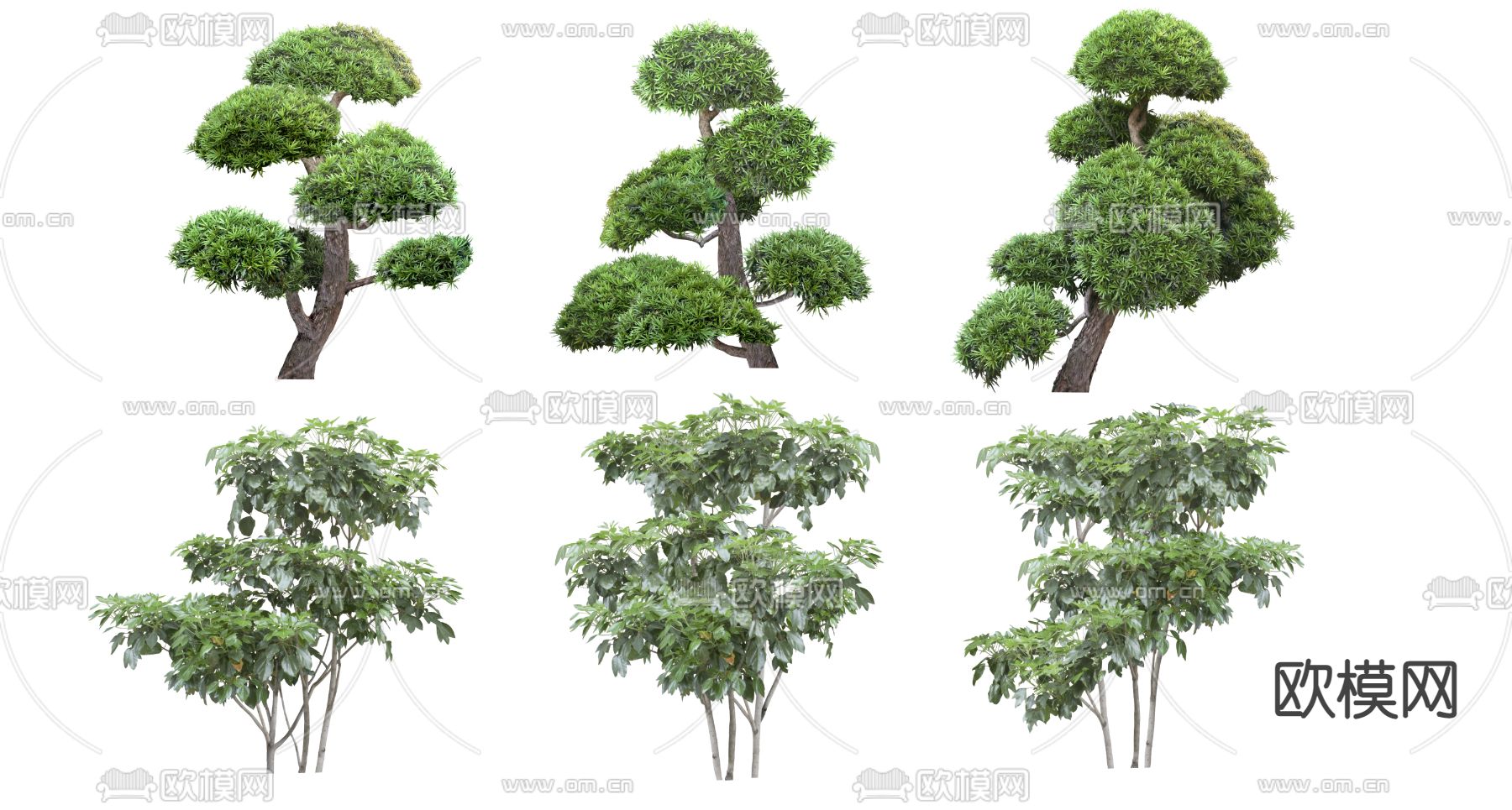 乔木 植物2D组件su模型
