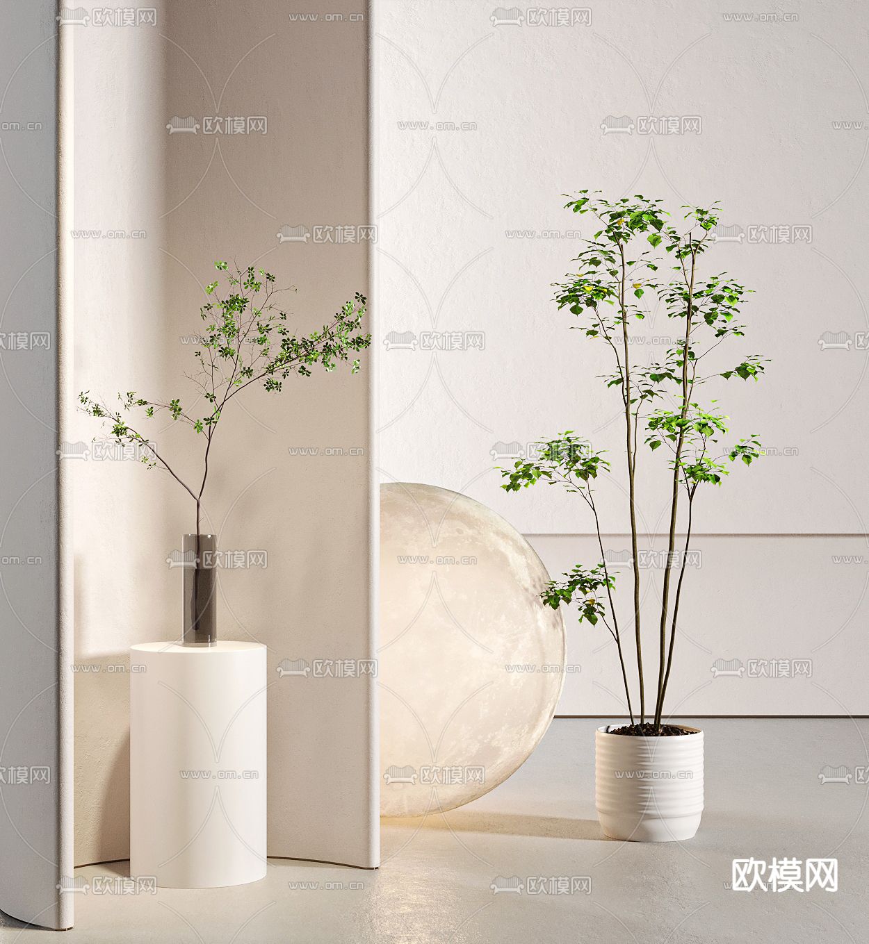 盆栽盆景 水生植物3d模型下载