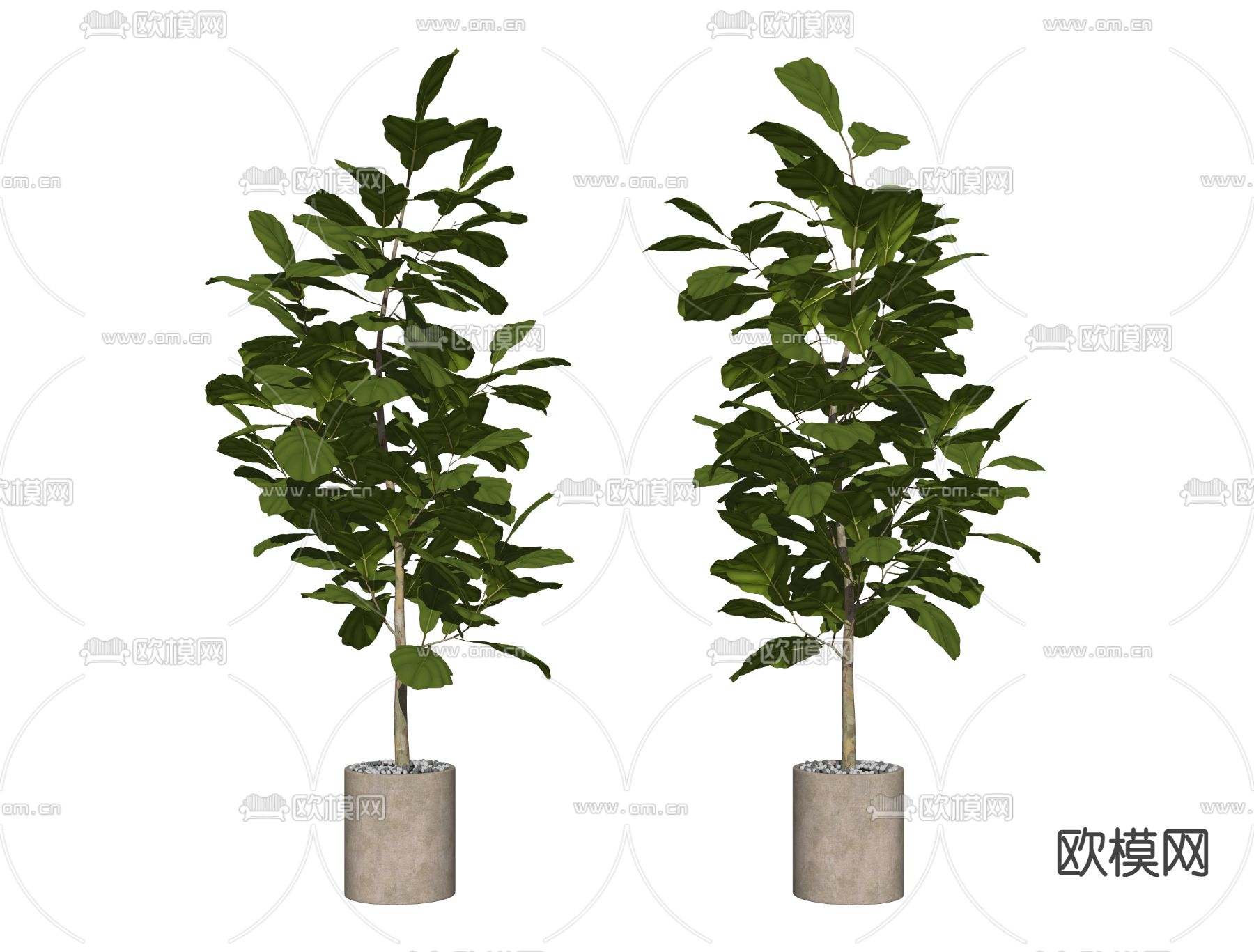 现代绿植盆栽 植物盆景su模型下载（渲染图2）