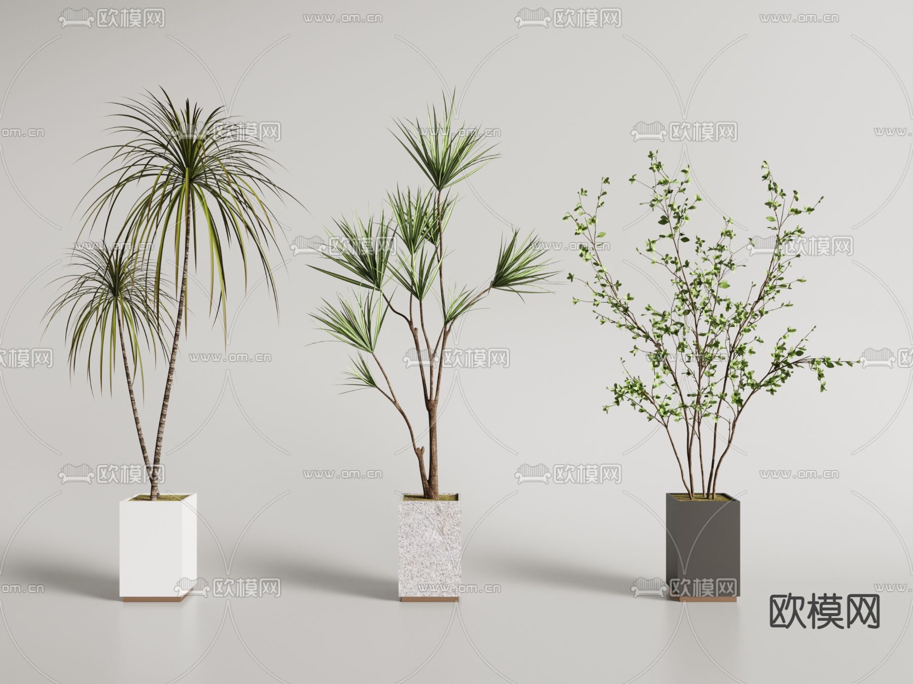 绿植盆栽 盆景3d模型下载