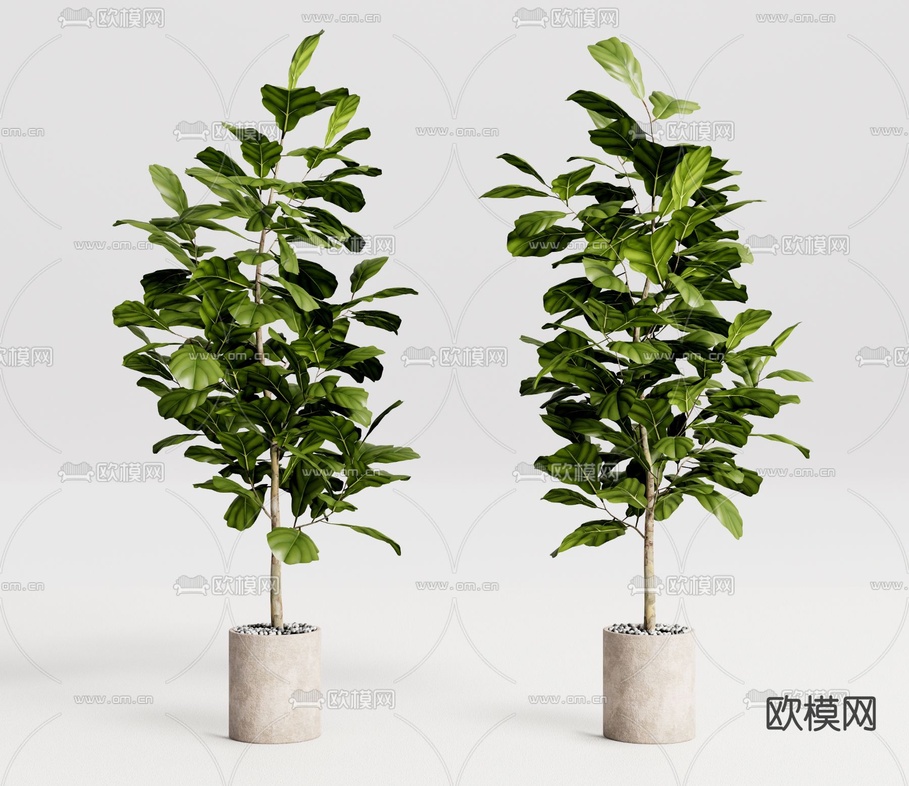 现代绿植盆栽 植物盆景su模型下载（渲染图1）