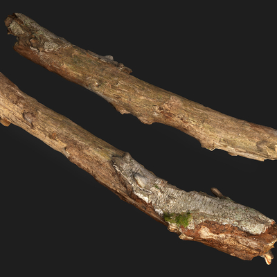  自然风枯木头 腐烂木头su模型 