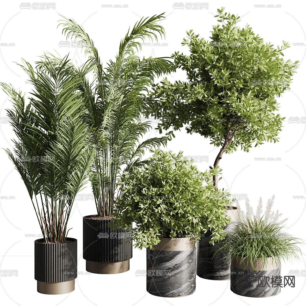 散尾葵 绿植盆栽 盆景3d模型下载_ID12318415_3dmax免费模型-欧模网