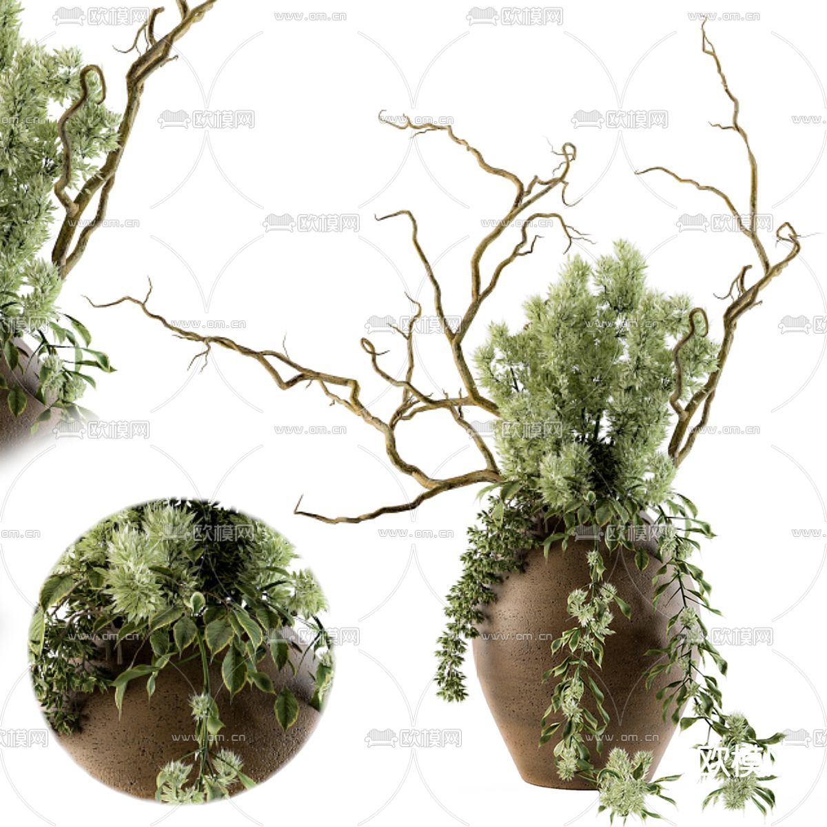 Bouquet绿植盆栽 陶罐盆景3d模型下载_ID10001434_3dmax免费模型-欧模网