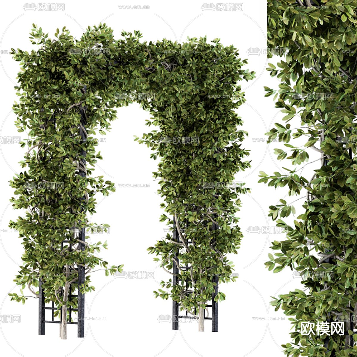 藤蔓廊架 植物拱门3d模型下载（渲染图1）