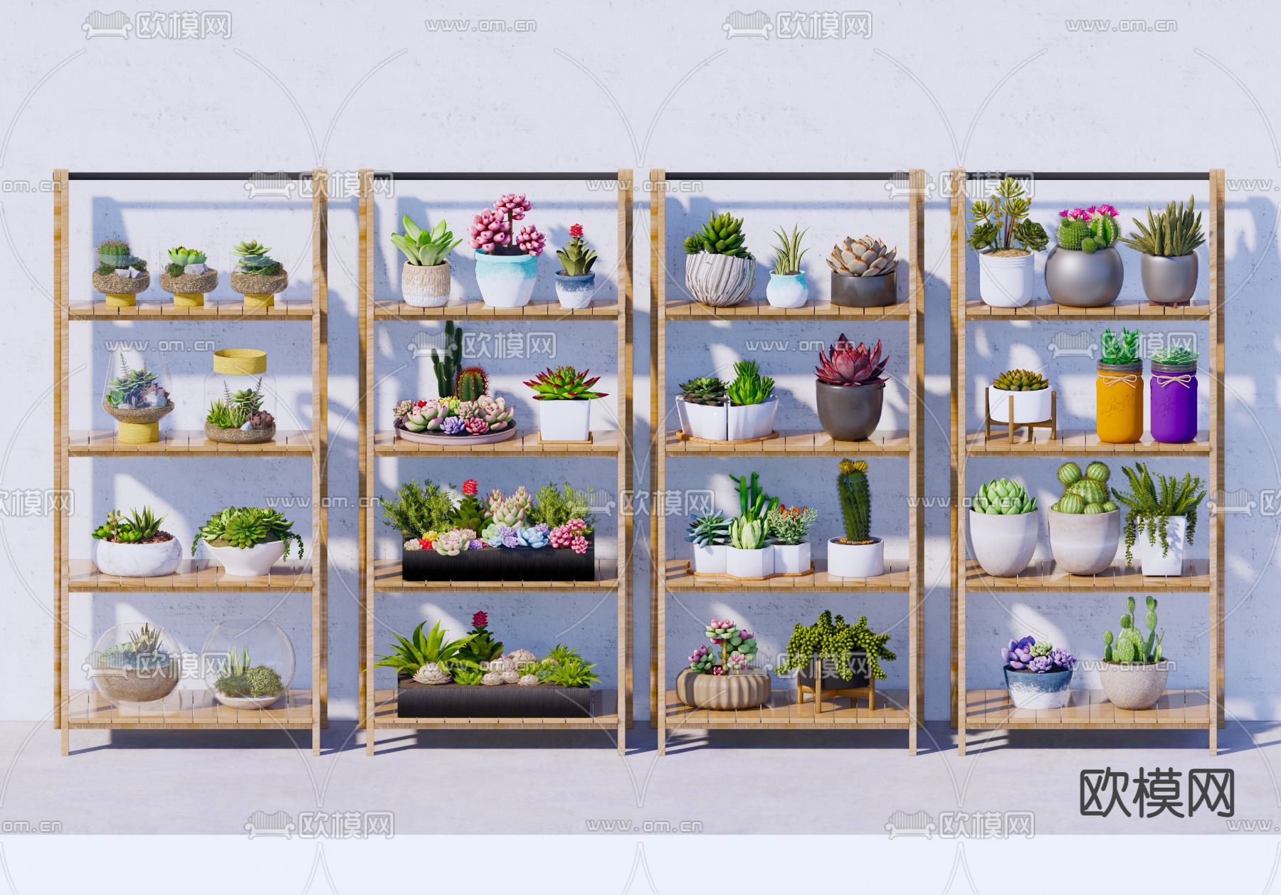 多肉绿植 盆栽 花架su模型下载（渲染图1）