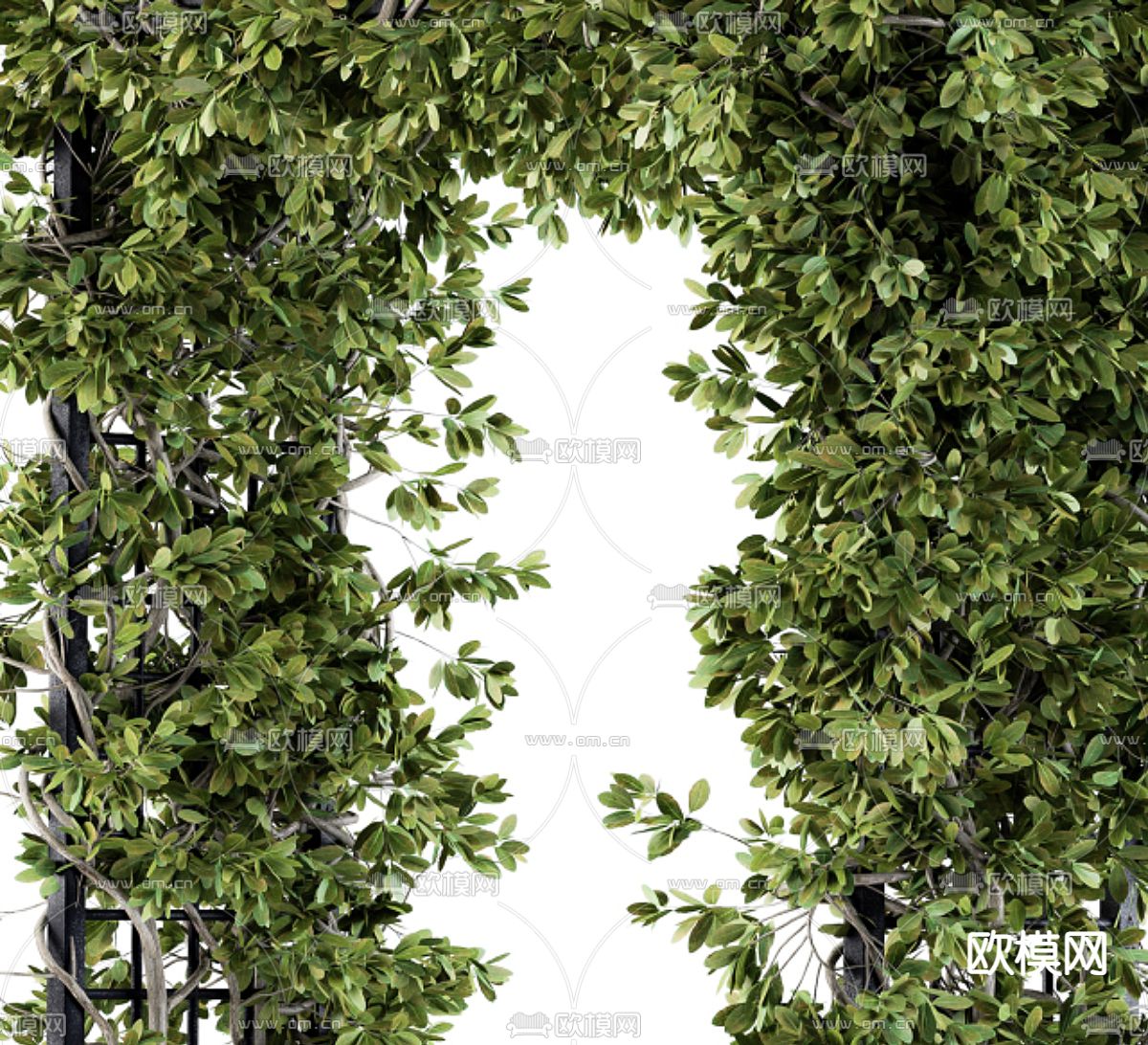 藤蔓廊架 植物拱门3d模型下载（渲染图3）