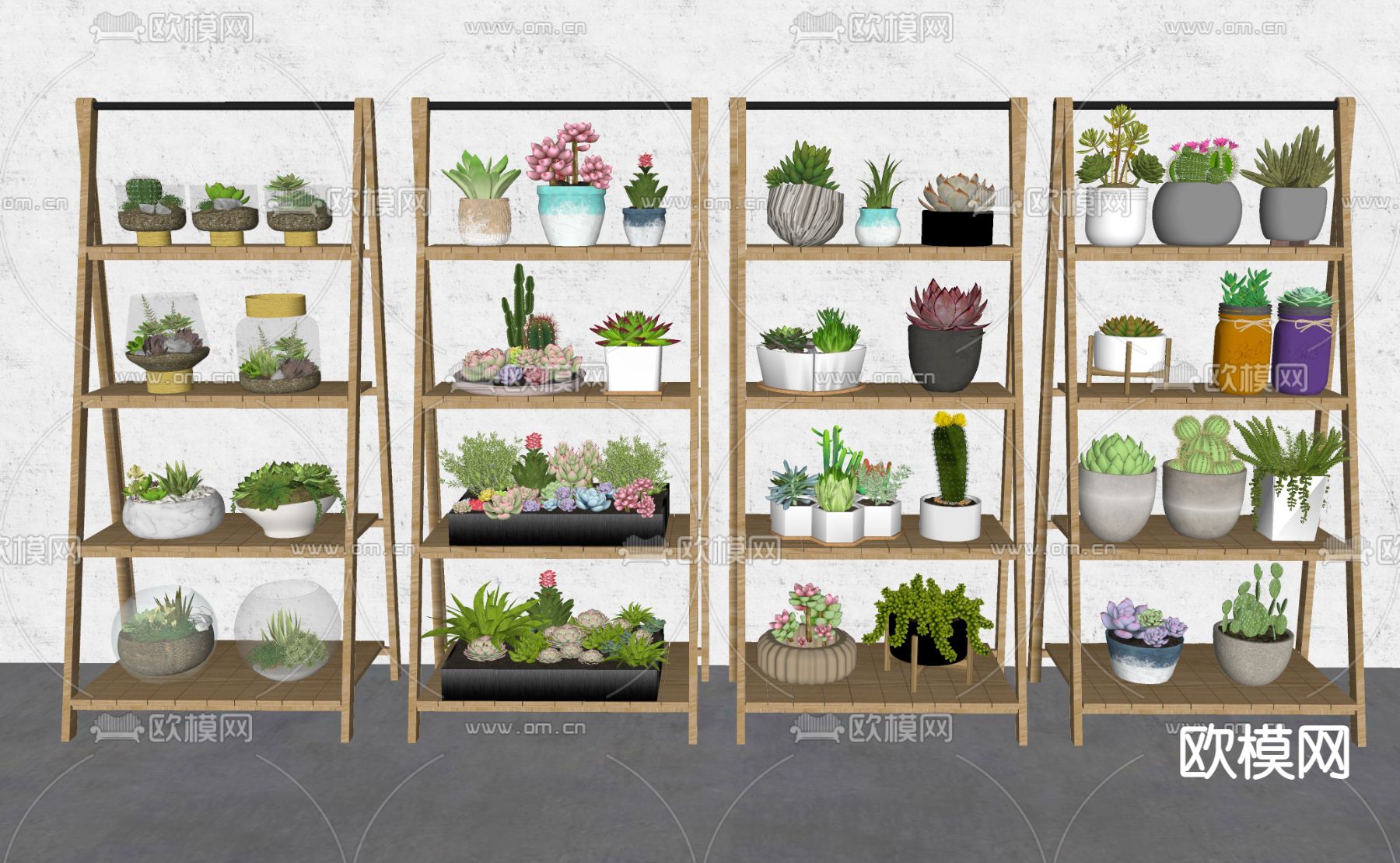 多肉绿植 盆栽 花架su模型下载（渲染图3）