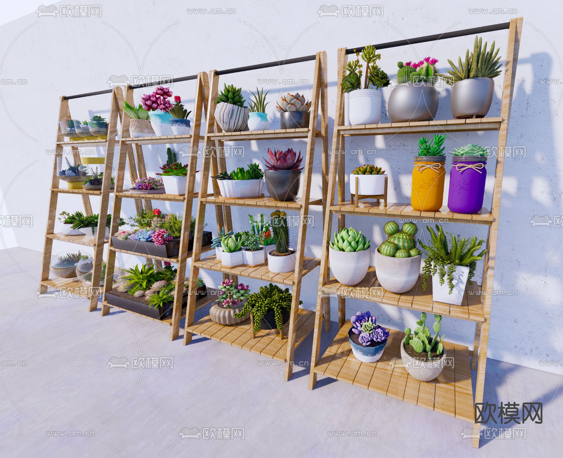 多肉绿植 盆栽 花架su模型下载（渲染图2）