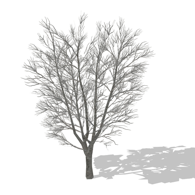  冬季树 枯树su模型 