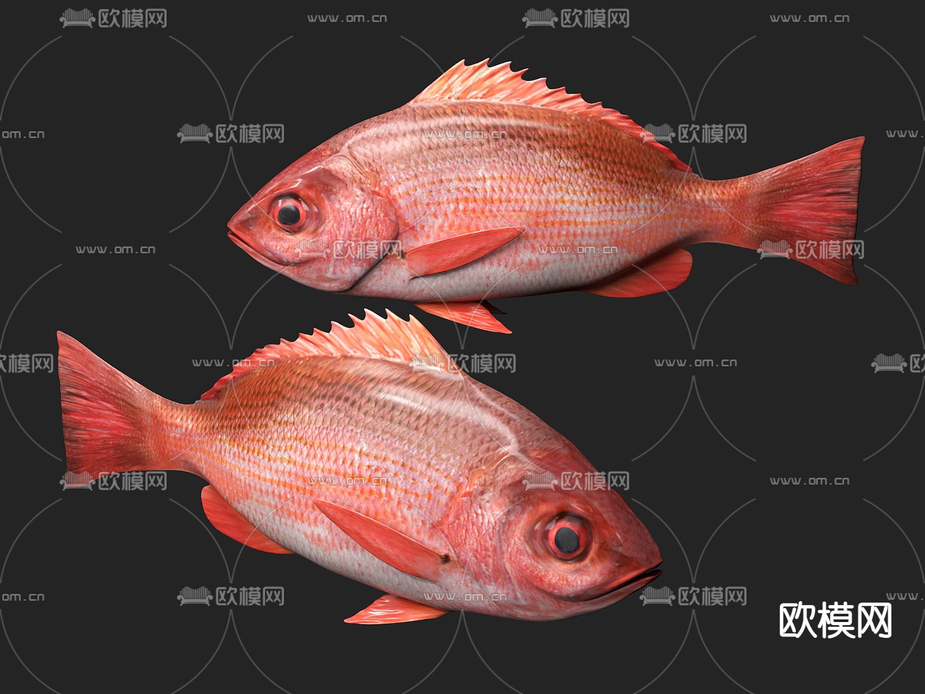 鱼 鲷鱼 海鲜su模型