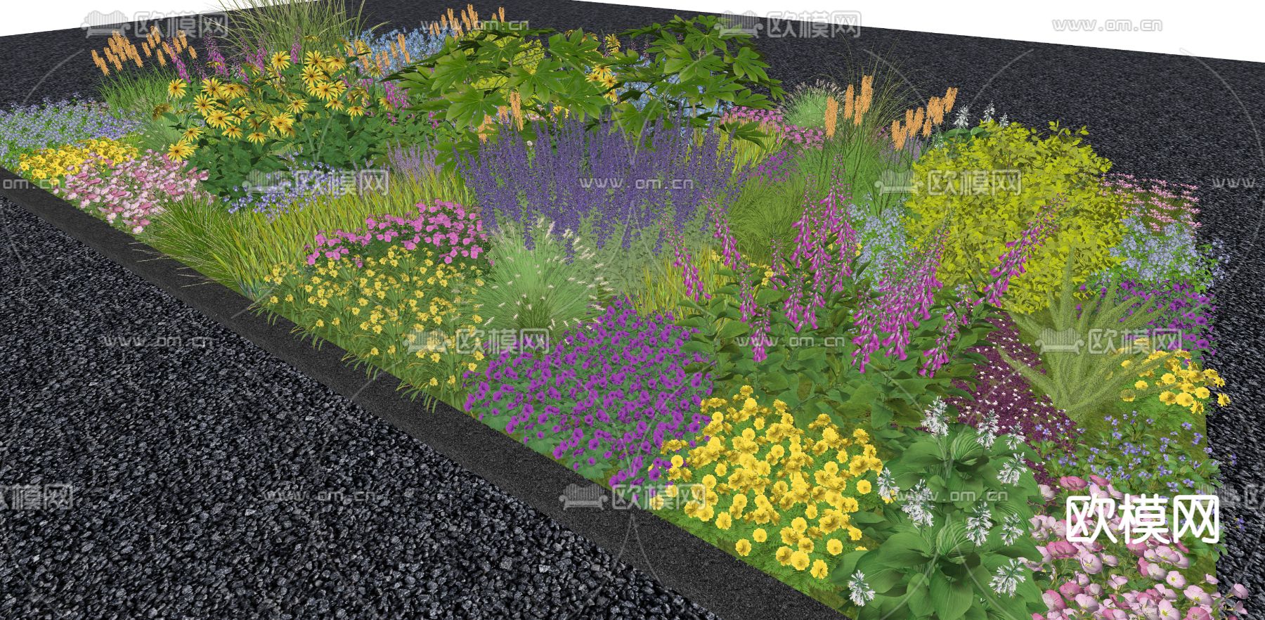 现代花草植物su模型下载（渲染图2）