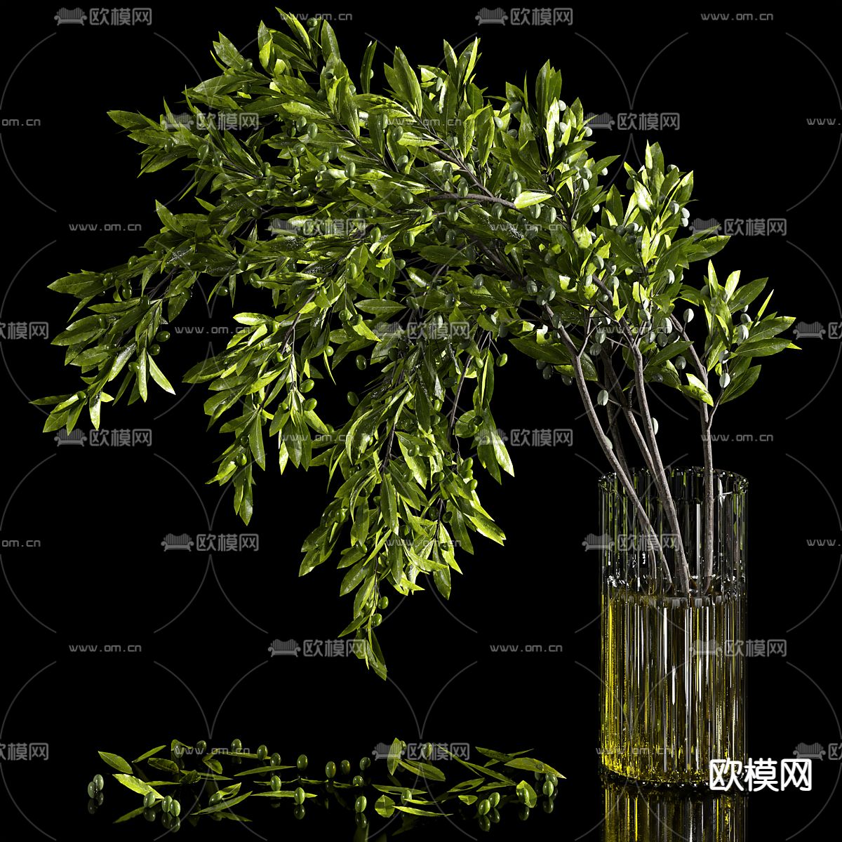 水培绿植 插花花瓶3d模型下载