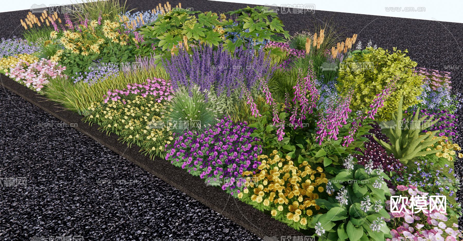 现代花草植物su模型下载（渲染图3）