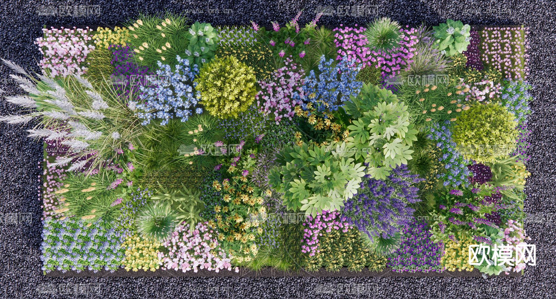 现代花草植物su模型下载（渲染图1）