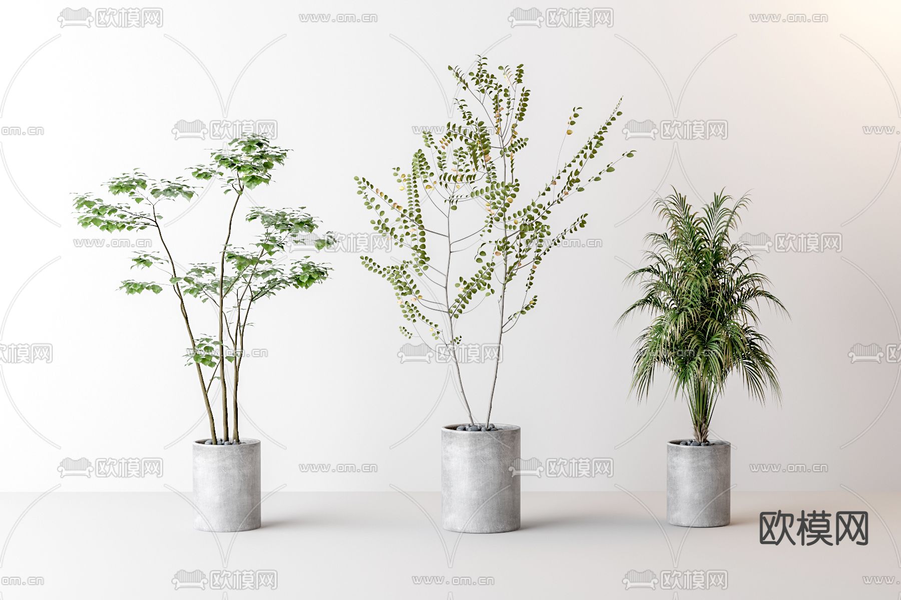 植物盆栽 盆景3d模型下载_ID13009063_3dmax免费模型-欧模网