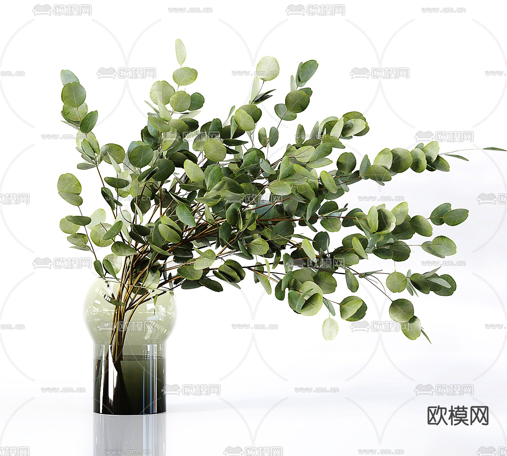 水生绿植 水培植物3d模型下载