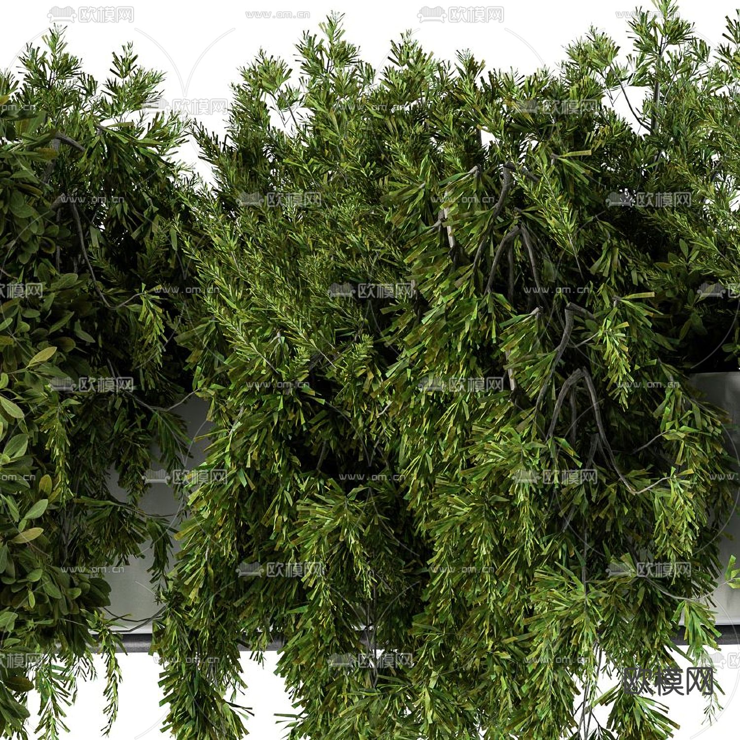 绿植吊篮 盆景3d模型