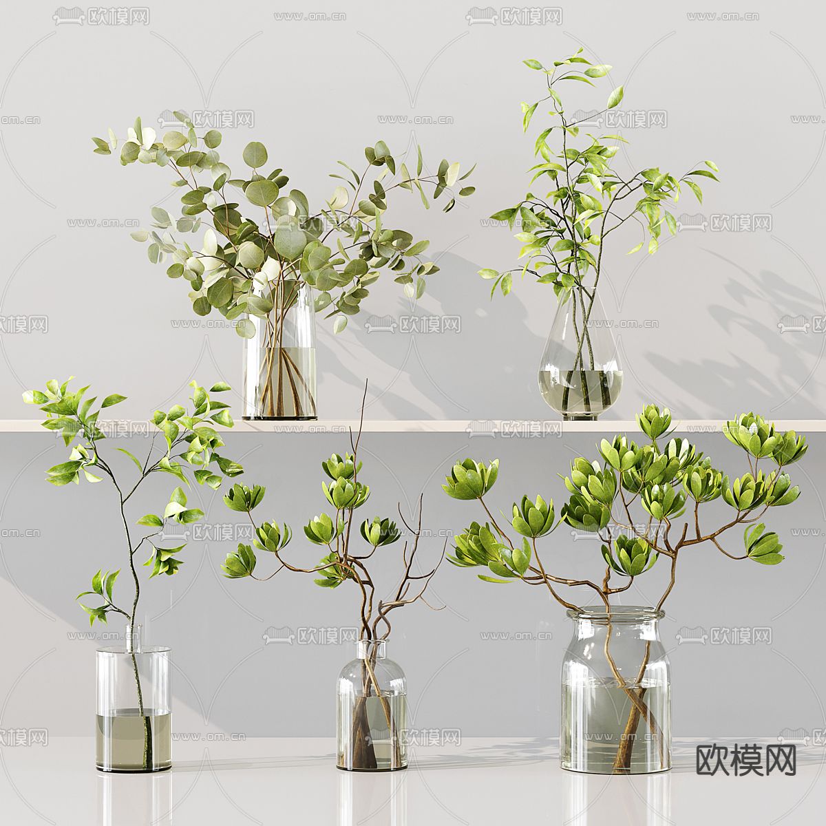 水生植物 水培绿植3d模型下载（渲染图1）