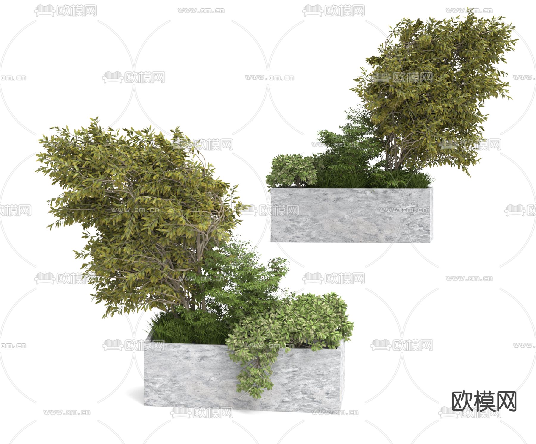 花箱 花坛 户外盆栽3d模型下载