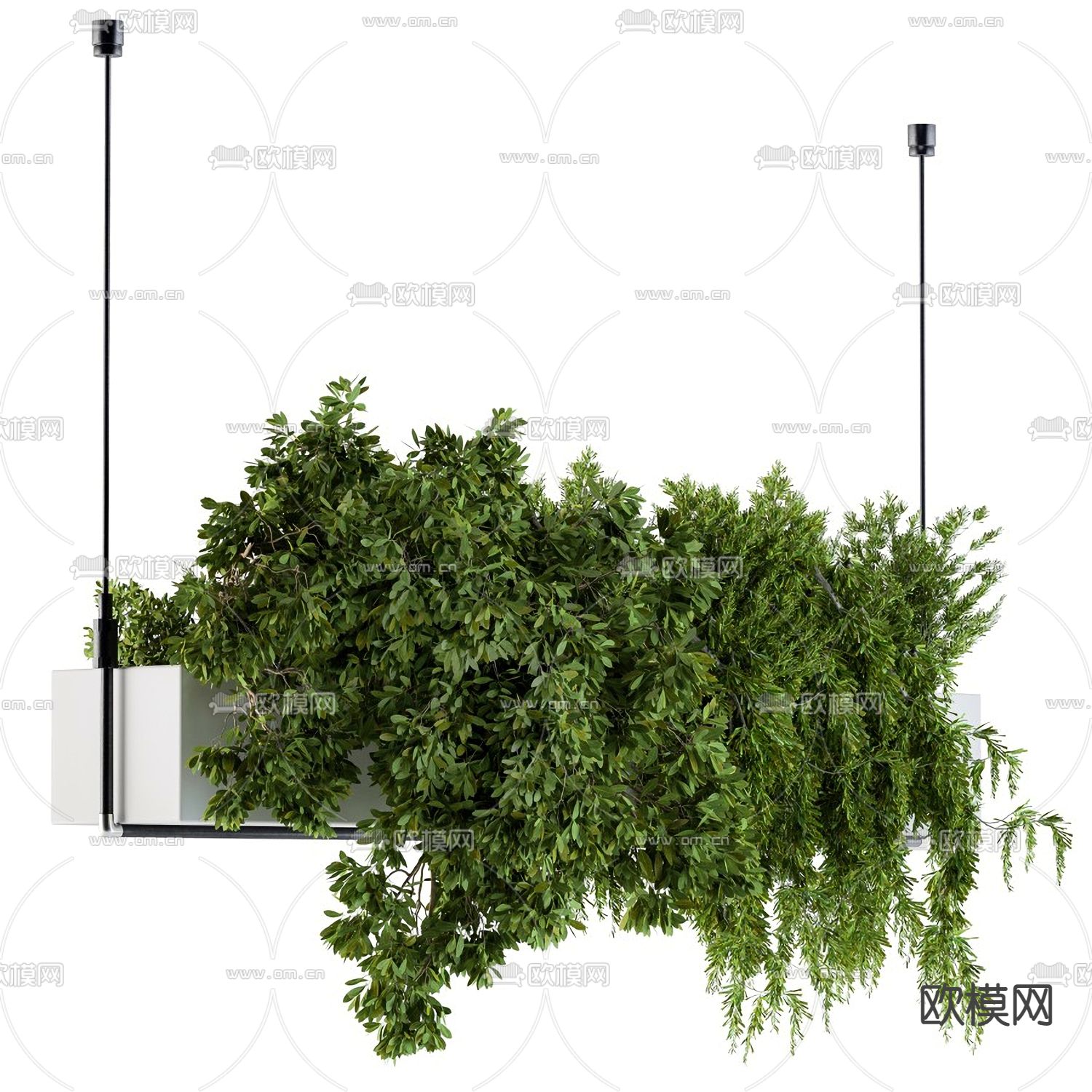 绿植吊篮 盆景3d模型