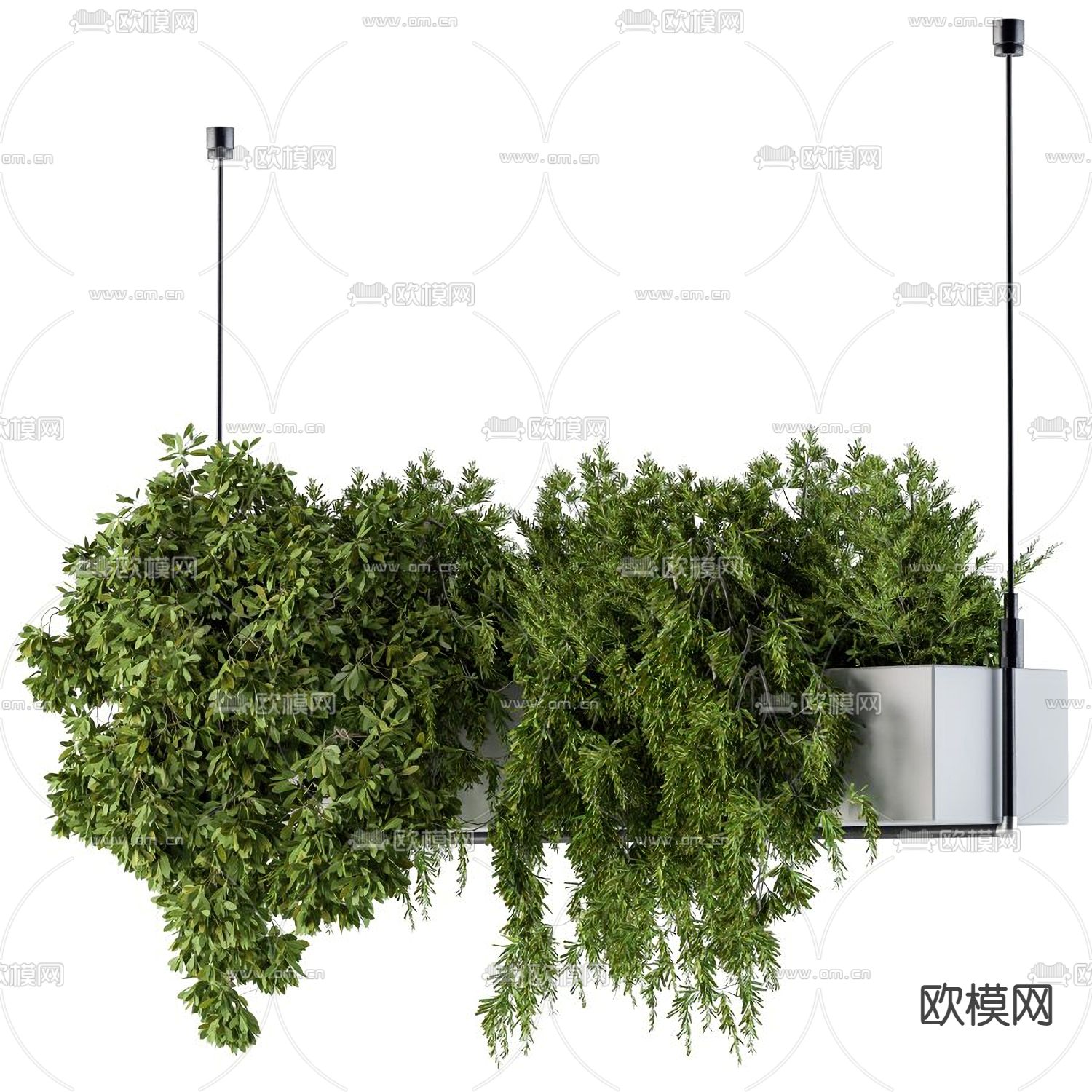 绿植吊篮 盆景3d模型