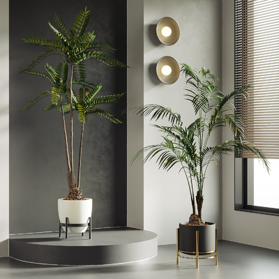  植物盆栽 盆景su模型 