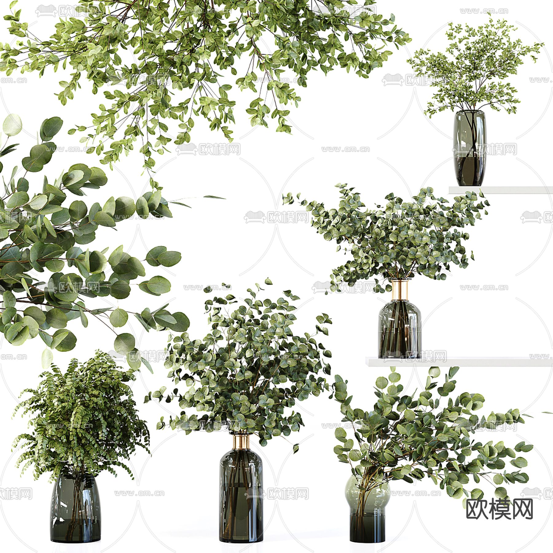 水生植物 水培绿植3d模型下载