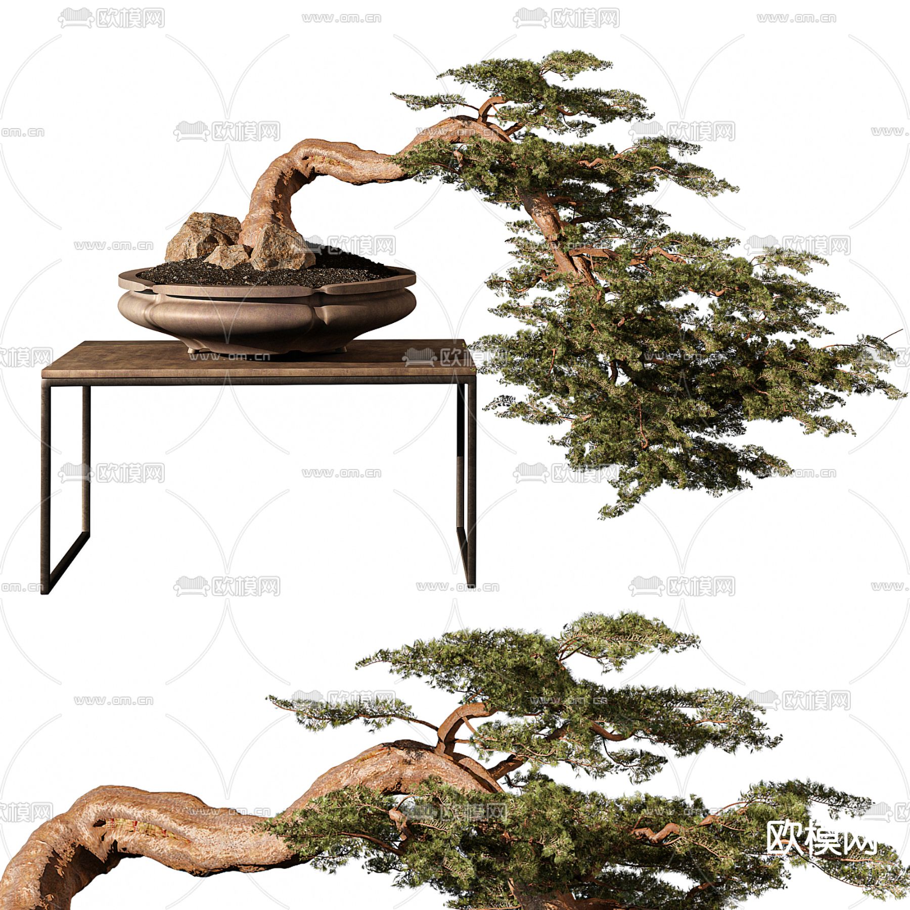 迎客松盆栽 盆景3d模型下载_ID13019218_3dmax免费模型-欧模网